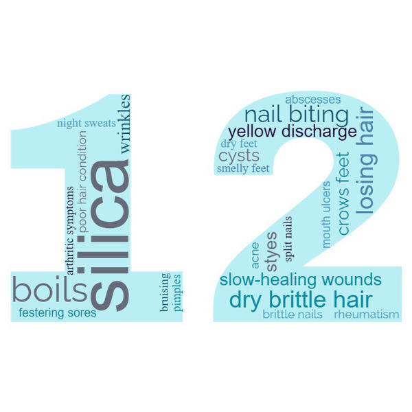 12 silica 
